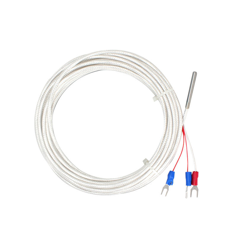 WZP-035 Sonda PT100 Kabel 5 × 35 mm 1–20 m Platynowy termometr oporowy RTD Odporny na korozję, wodoodporny, antykorozyjny czujnik temperatury