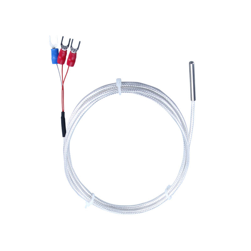 WZP-035 Sonda PT100 Kabel 5 × 35 mm 1–20 m Platynowy termometr oporowy RTD Odporny na korozję, wodoodporny, antykorozyjny czujnik temperatury