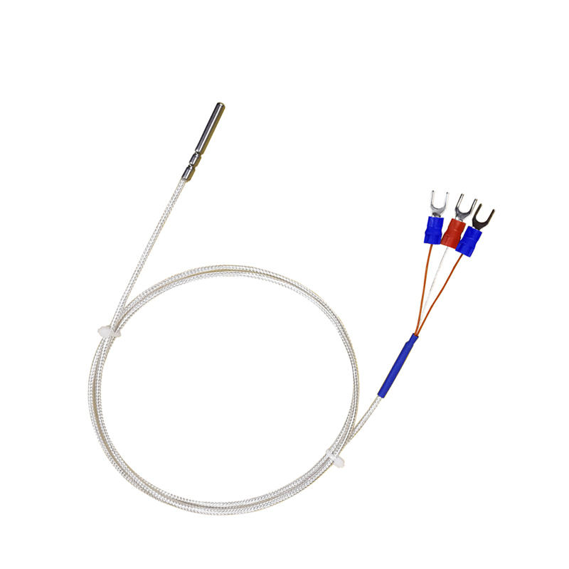 WZP-035 Sonda PT100 Kabel 5 × 35 mm 1–20 m Platynowy termometr oporowy RTD Odporny na korozję, wodoodporny, antykorozyjny czujnik temperatury